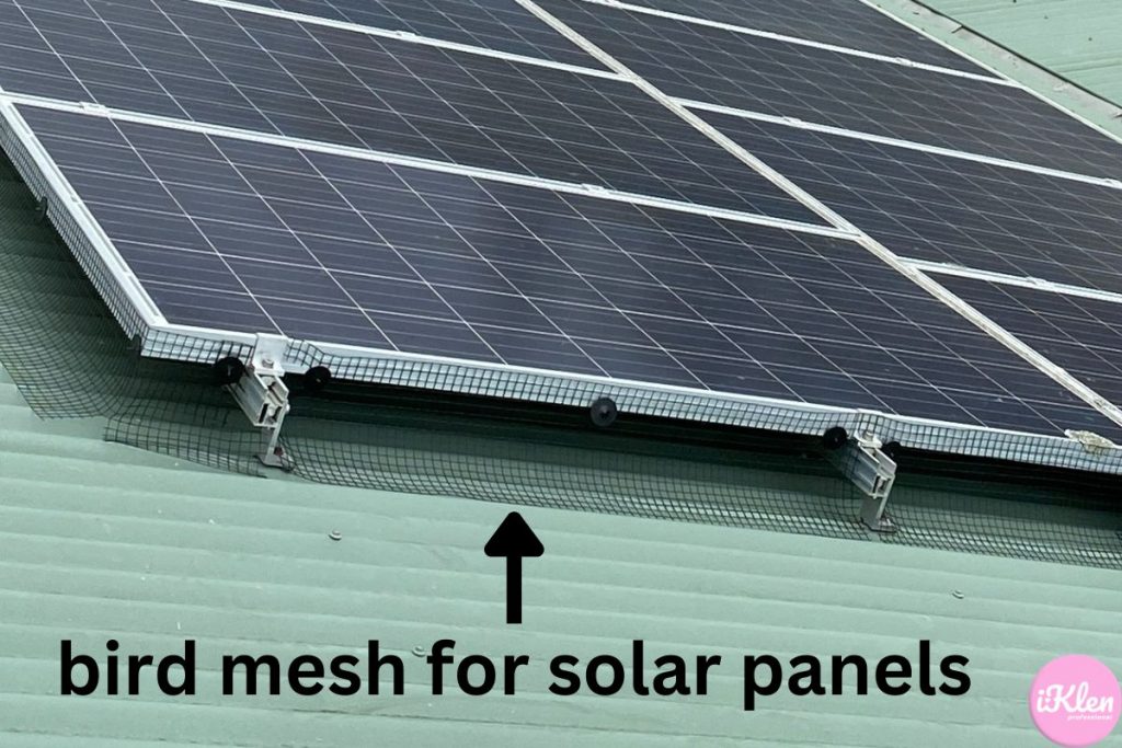 bird mesh for solar panels