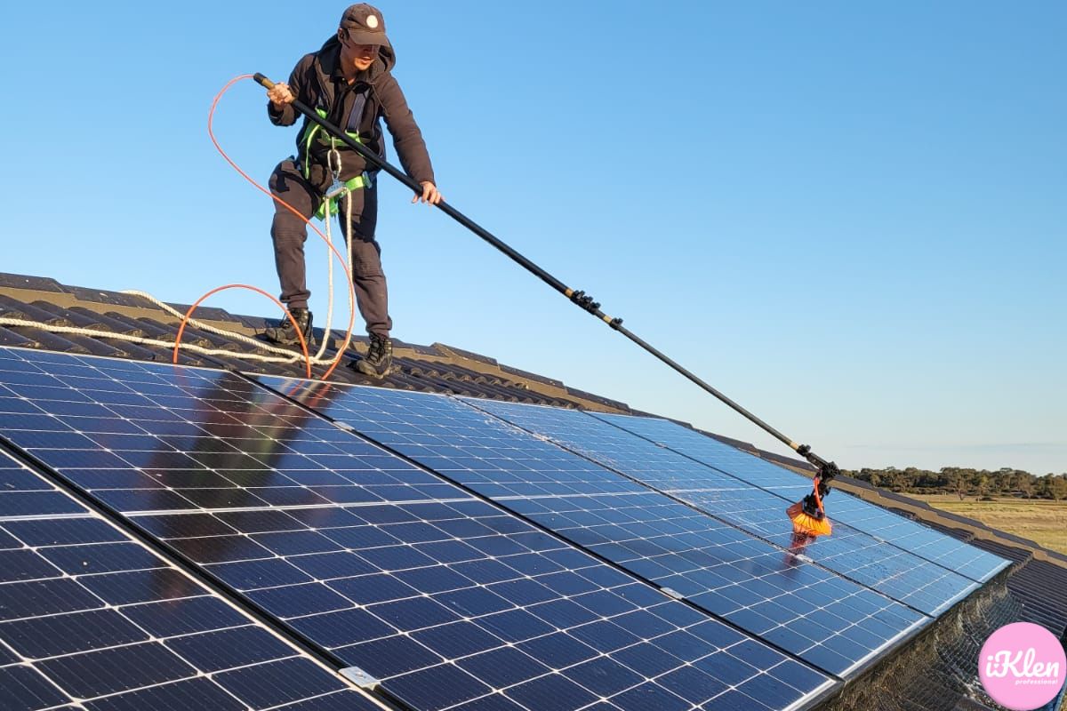 How To Clean Bird Poop Off Solar Panels IKlen how-to-clean-bird-poop-off-solar-panels-iklen